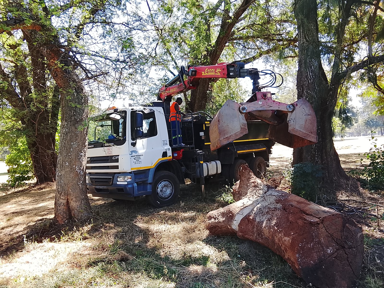 Clearing logs