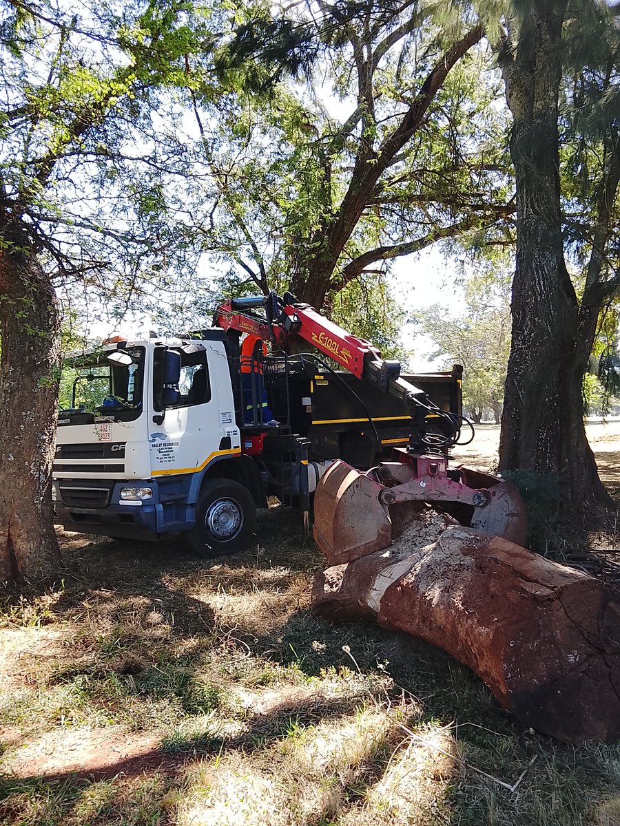 Tree clearance and waste removal- Wingate Park golf club